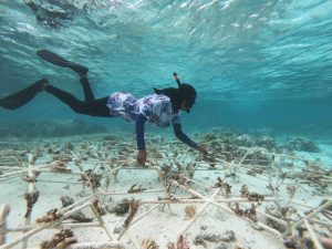 DERTOUR Foundation Projekt Malediven Korallen