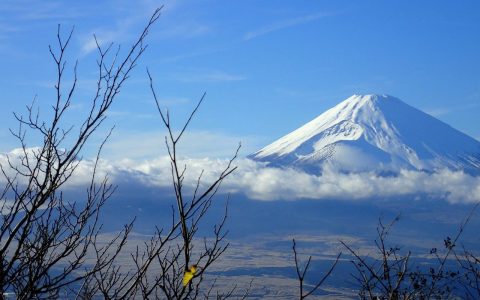 DERTOUR Group DERTOUR Group