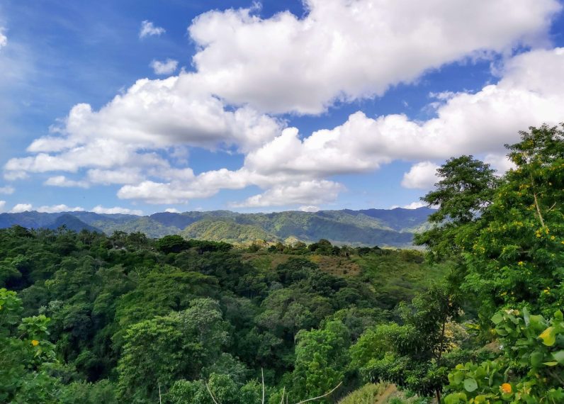 Nicaragua Regenwald